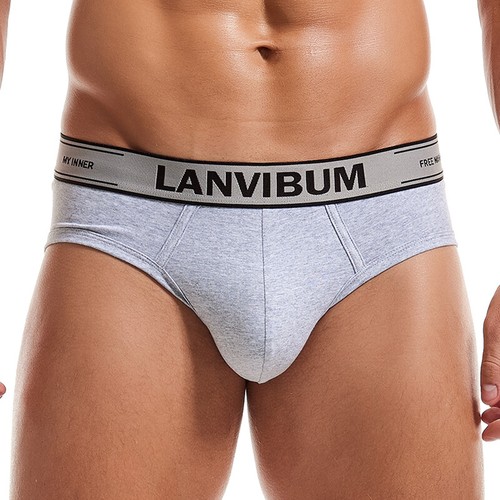 Men underwear cotton briefs - underwear,