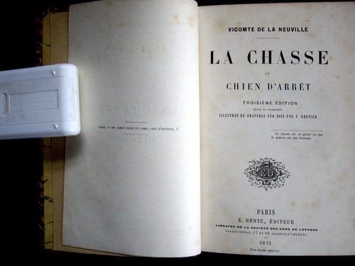 Chasse chien d arret - chien, d'arret