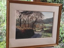 Très belle aquarelle