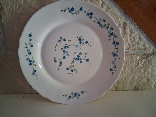 Plat arcopal myosotis 28 - myosotis,