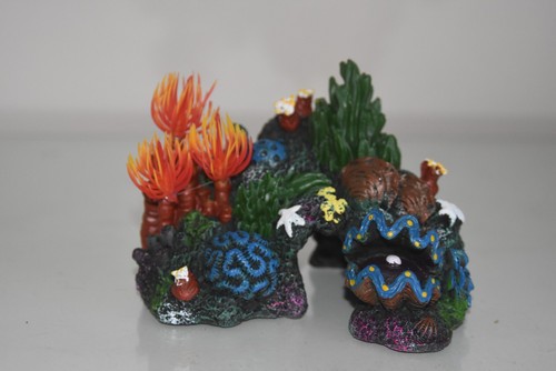 Corail aquarium reef jardin - corail,