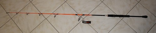 Canne spinning ioda - canne,