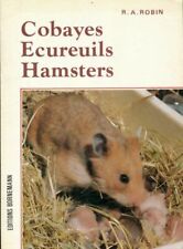 Cobayes écureuils hamsters 