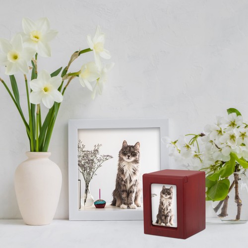 Urne chien pour cendres - urne,
