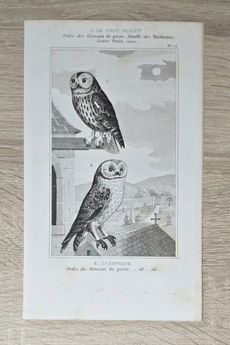 Gravure ancienne sur cuivre