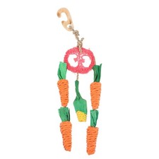  Accessoires Hamster Jouet Chinchilla Fournitures De Jouets À Mâcher