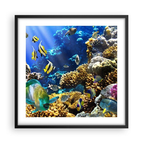 Affiche poster 50x50cm - affiche,