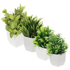  4 Pcs Potted Plants Plantes