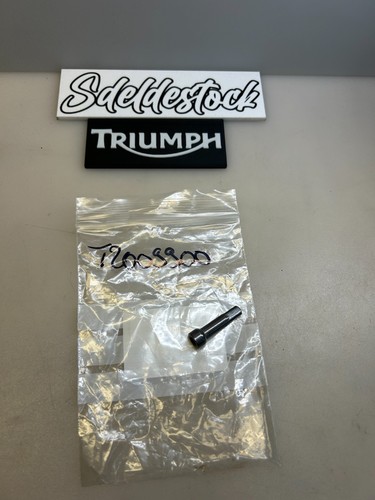 écrou rayon jante triumph - écrou,