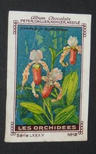 CHROMO PETER CAILLER KOHLER