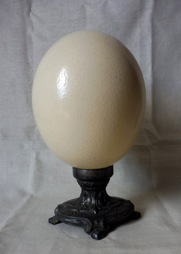 Oeuf autruche support - , art
