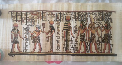 Véritables grands papyrus - 2,