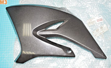 écope de radiateur gauche