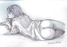 FUSAIN,   nu féminin   