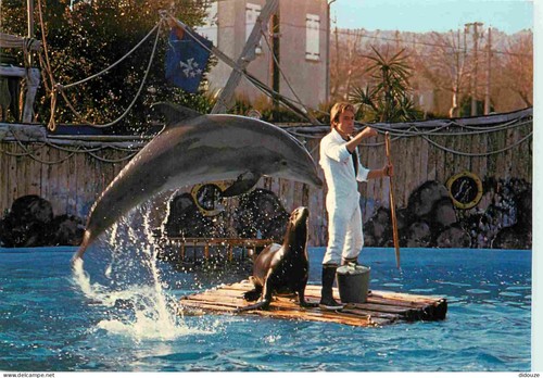 Carte postale animaux - -,