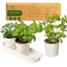 Pots herbes plantes - pots,