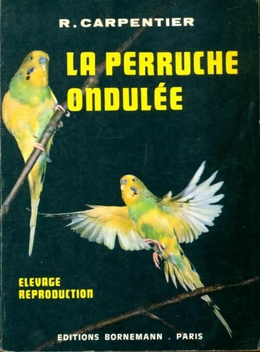 Perruche ondulée r - -,