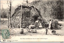 S19125 cpa 89 Saint Fargeau - Une Hutte de Bûcherons dans la Forêt