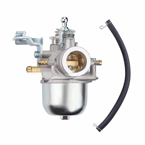 Carburateur compatible avec - carburateur,