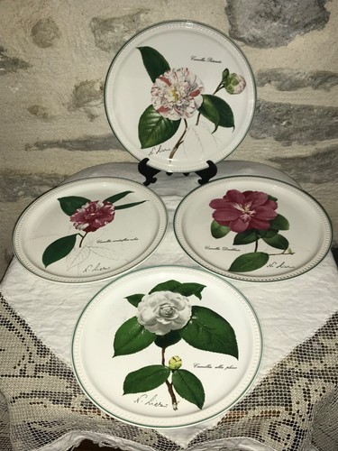 Série assiettes plates - série, 4