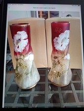 Paire de Vases Art Nouveau verre Vert  émaillé Jonquilles LEGRAS