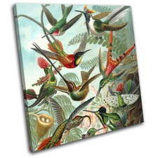 Birds Floral Tropical Vintage