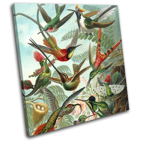 Birds floral tropical vintage - birds,