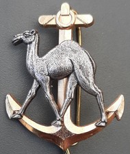 Insigne Sahara Détachement Militaire Assistance Technique ATAR ORIGINAL BADGE