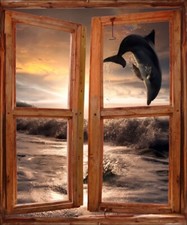 Sticker trompe l'oeil fenêtre déco Dauphin