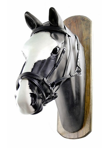 Harnais cheval sans mors en - sans,