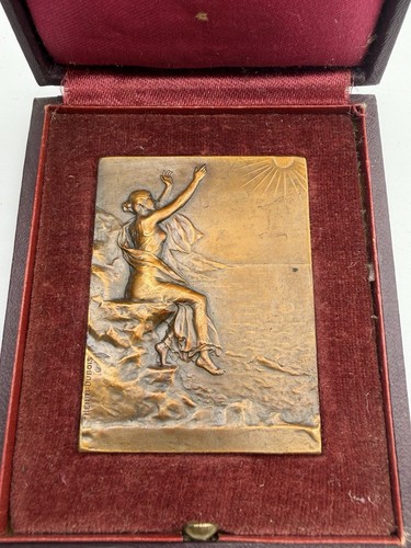 Plaquette bronze inondations - bronze,