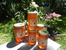 Miel local châtaignier ronce Bretagne  1 kilo bio les abeilles de Christian N