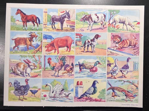 Planches images bon - planches, point