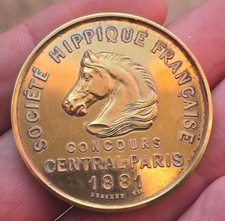 Rare et Superbe Medaille en