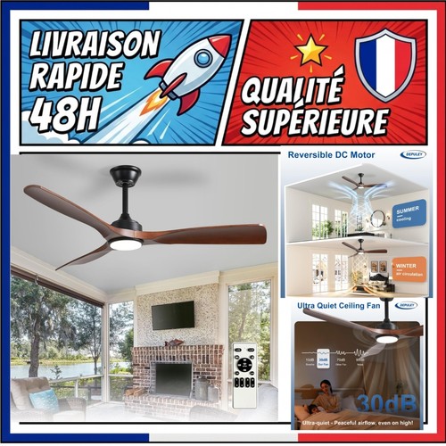 Ventilateur plafond depuley - plafond,