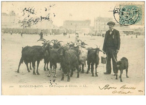 33602 malo les - 59,