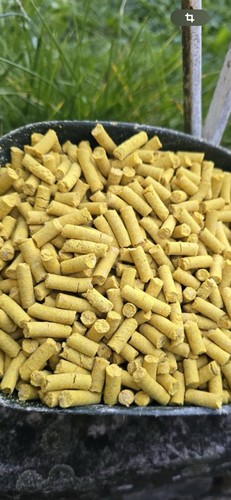 Pellets carpe indian - de,