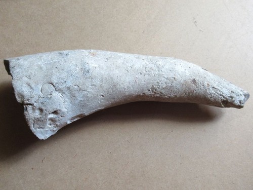 Silex fossile empreinte - ou,