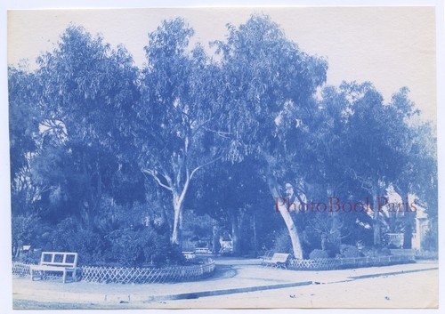 France menton les eucalyptus - france,