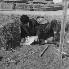 Photo papier  argentique 24