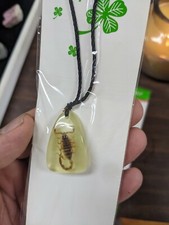 Real Scorpion In Resin