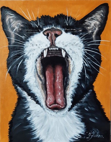 Peinture drôle chat - peinture,