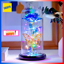 Belle Rose Eternelle Sous