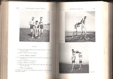 livre ancien RÈGLEMENT