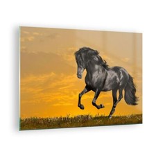 Impression sur Verre 70x50cm Tableaux Image Animaux cheval course à pied prairie