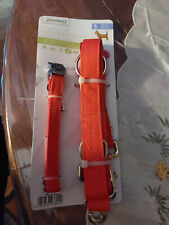 laisse pour chien avec collier