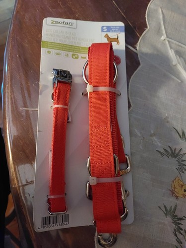 Laisse pour chien avec - laisse,
