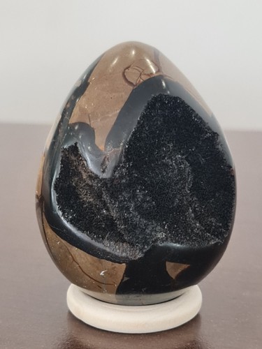 Oeuf septaria - oeuf,