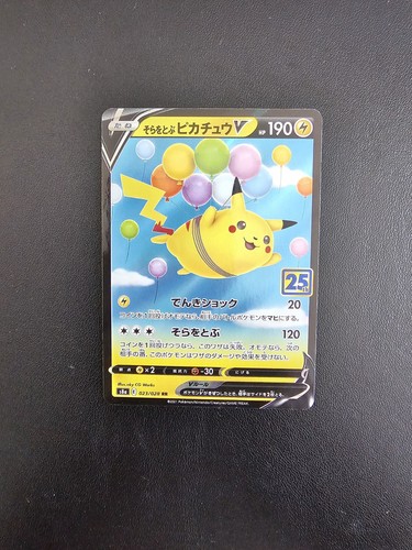 Flying pikachu 023 028 - pikachu, rr