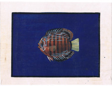 Peinture Artisanale De Poisson Discus (Symphysodon) Sur Tissu De Soie 9X7"